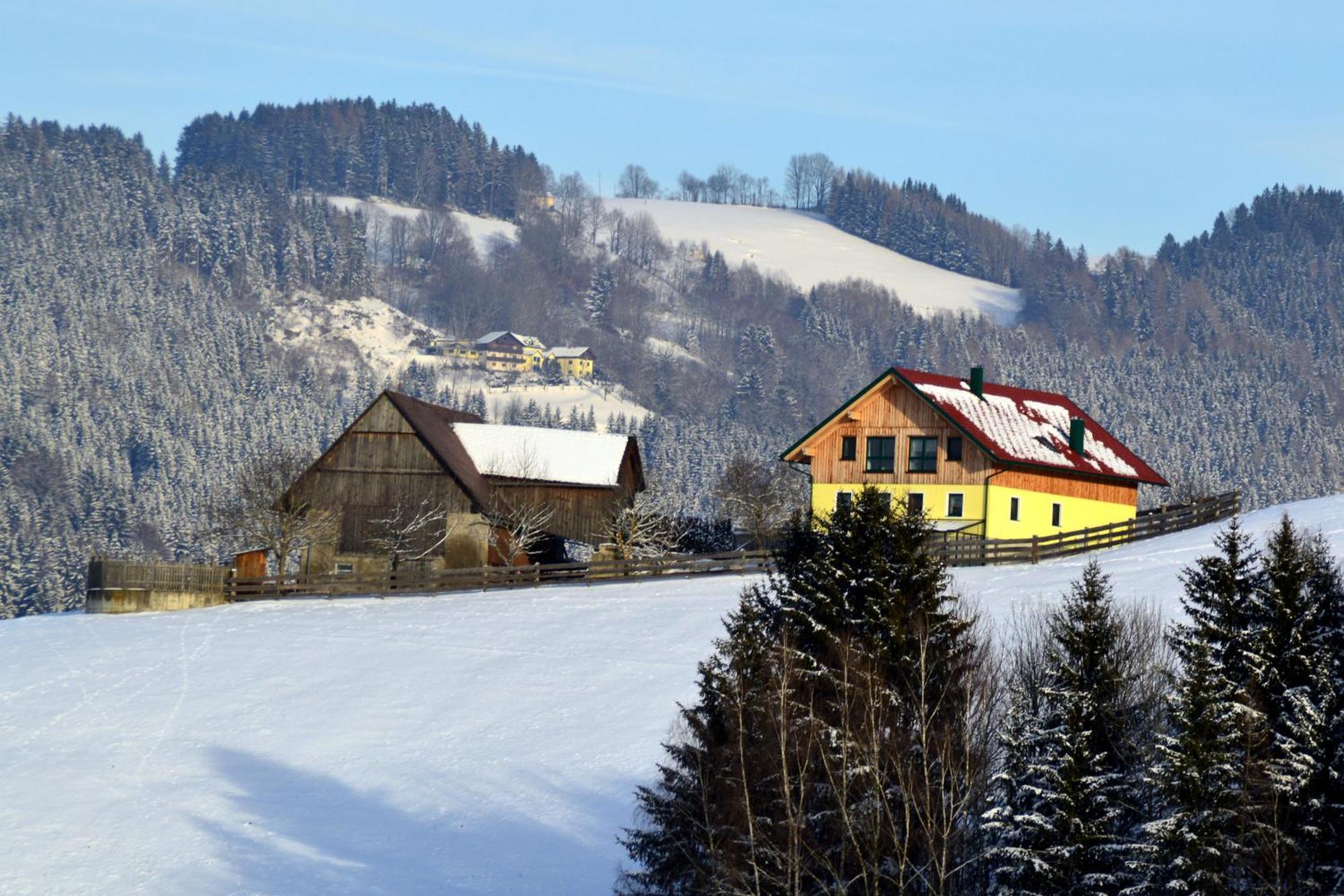 Almferienhaus Russmann Frantschach Buitenkant foto