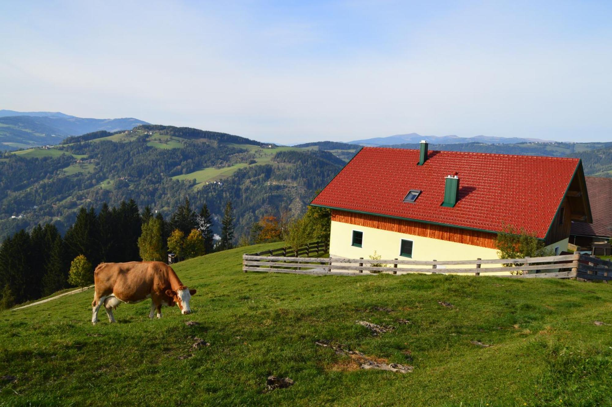 Almferienhaus Russmann Frantschach Buitenkant foto